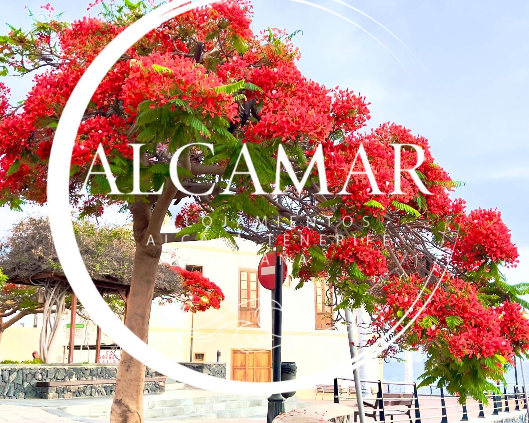 Alcamar Habitacion Privada Con Las Areas De Sala, Cocina Y Bano Que Se Comparten Cerca Al Mar! Alcalá la Real Eksteriør bilde